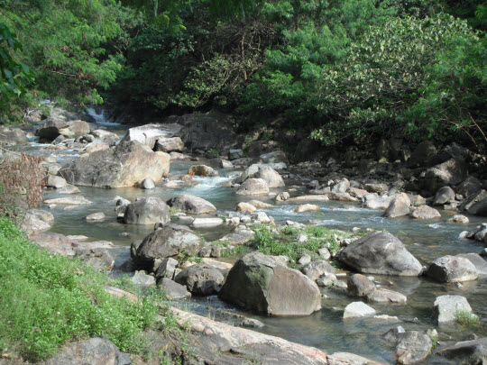 荃灣曹公潭瀑布下游