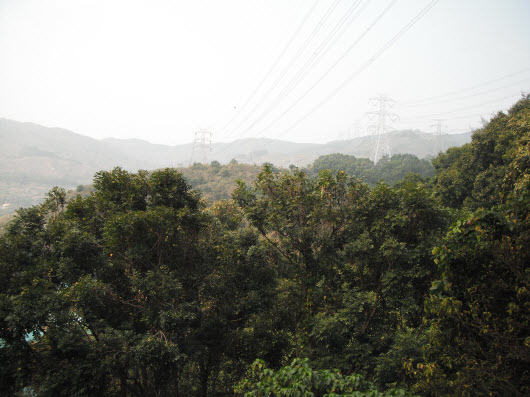 荃灣大帽山