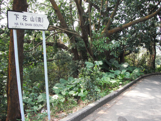 荃灣大帽山下花山南