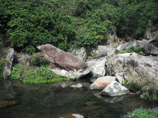 荃灣大帽山山麓中溪澗