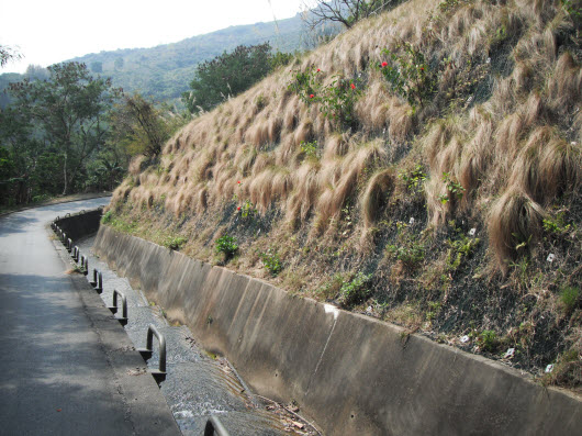 荃灣大帽山引水道