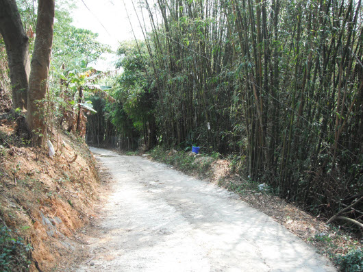 荃灣大帽山引水道