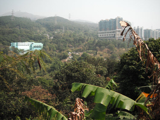 荃灣大帽山引水道