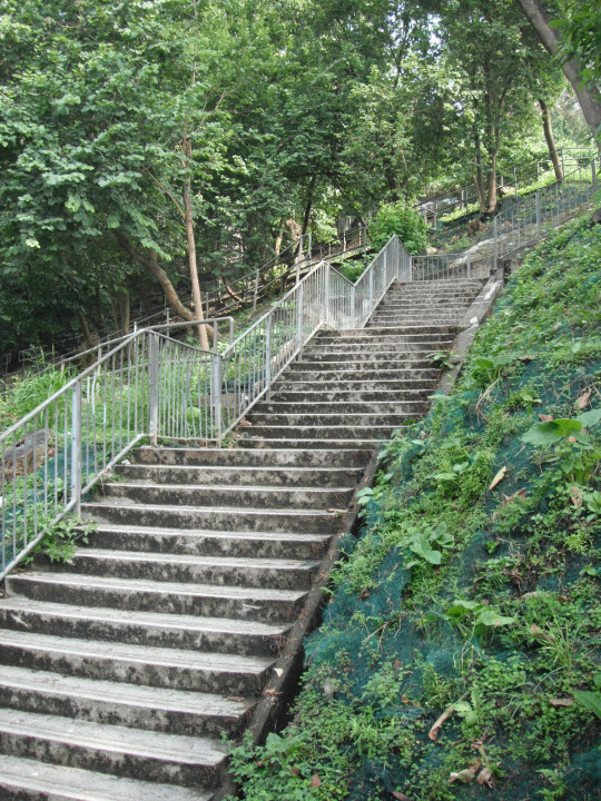 荃灣芙蓉山