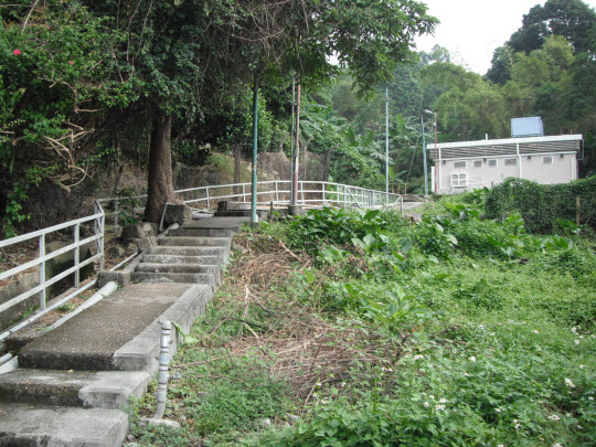 荃灣芙蓉山菩提徑