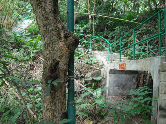 荃灣芙蓉山菩提徑慈音橋