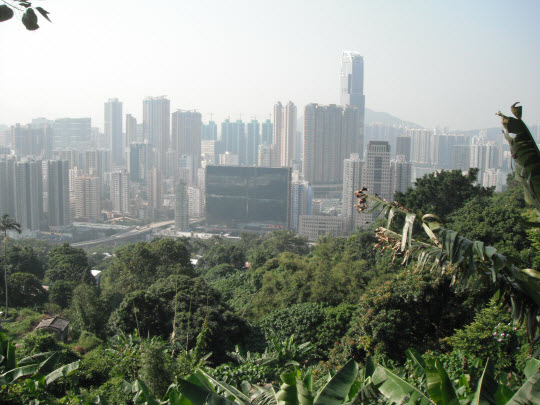 荃灣芙蓉山菩提徑結蓮庵俯瞰荃灣市區