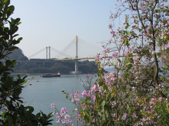 荃灣海濱荃灣碼頭至深井步行道汀九橋