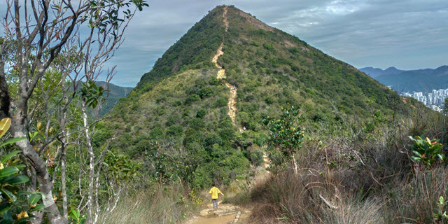 針山