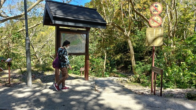 沙田坳 慈沙古道 慈雲山起點