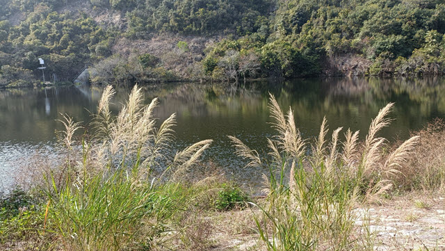 深井水塘 (深井沉澱池)